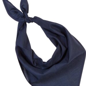 KP064 FIESTA - BANDANA